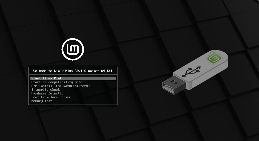 On boot up from USB, you will have many choices in Linux Mint.