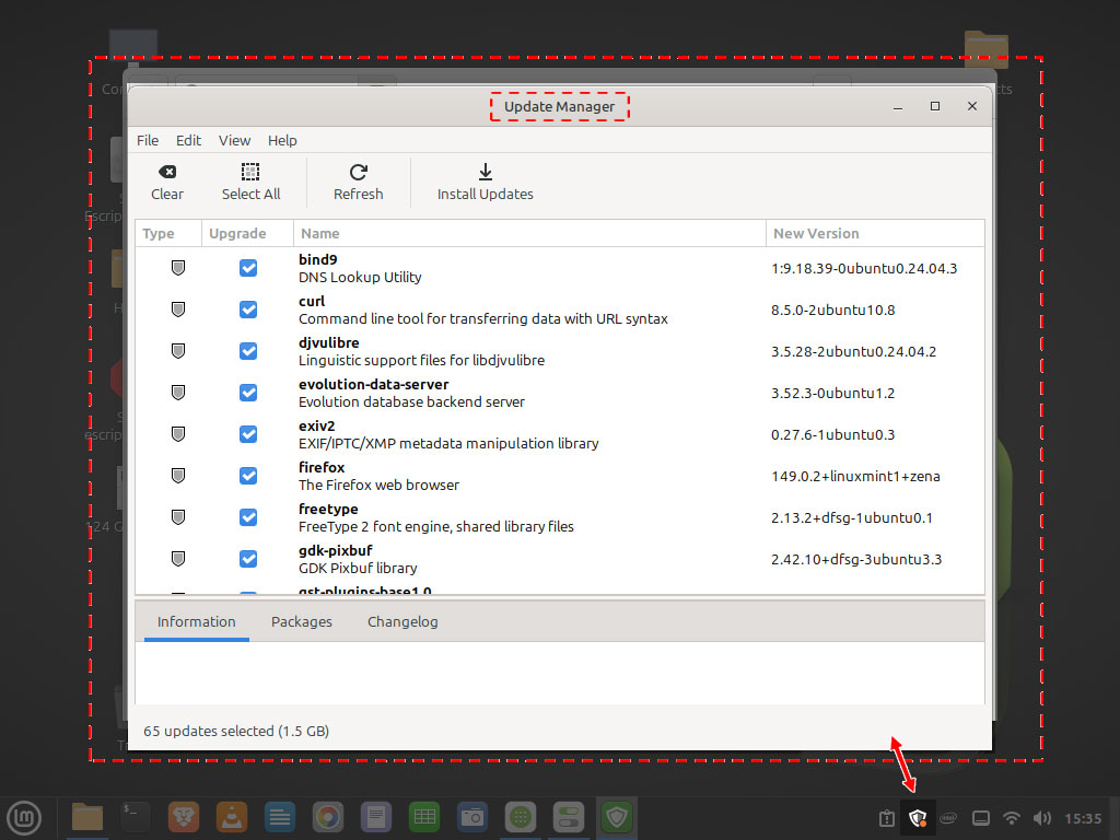 Linux Mint Update Manager window